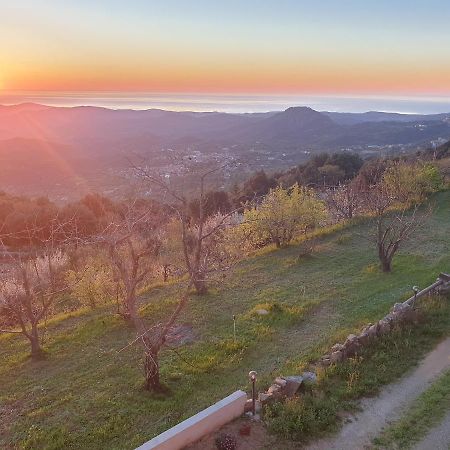 Oasi Del Benessere Ilbono Экстерьер фото