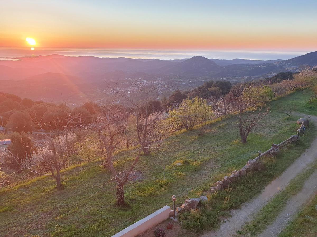 Oasi Del Benessere Ilbono Экстерьер фото